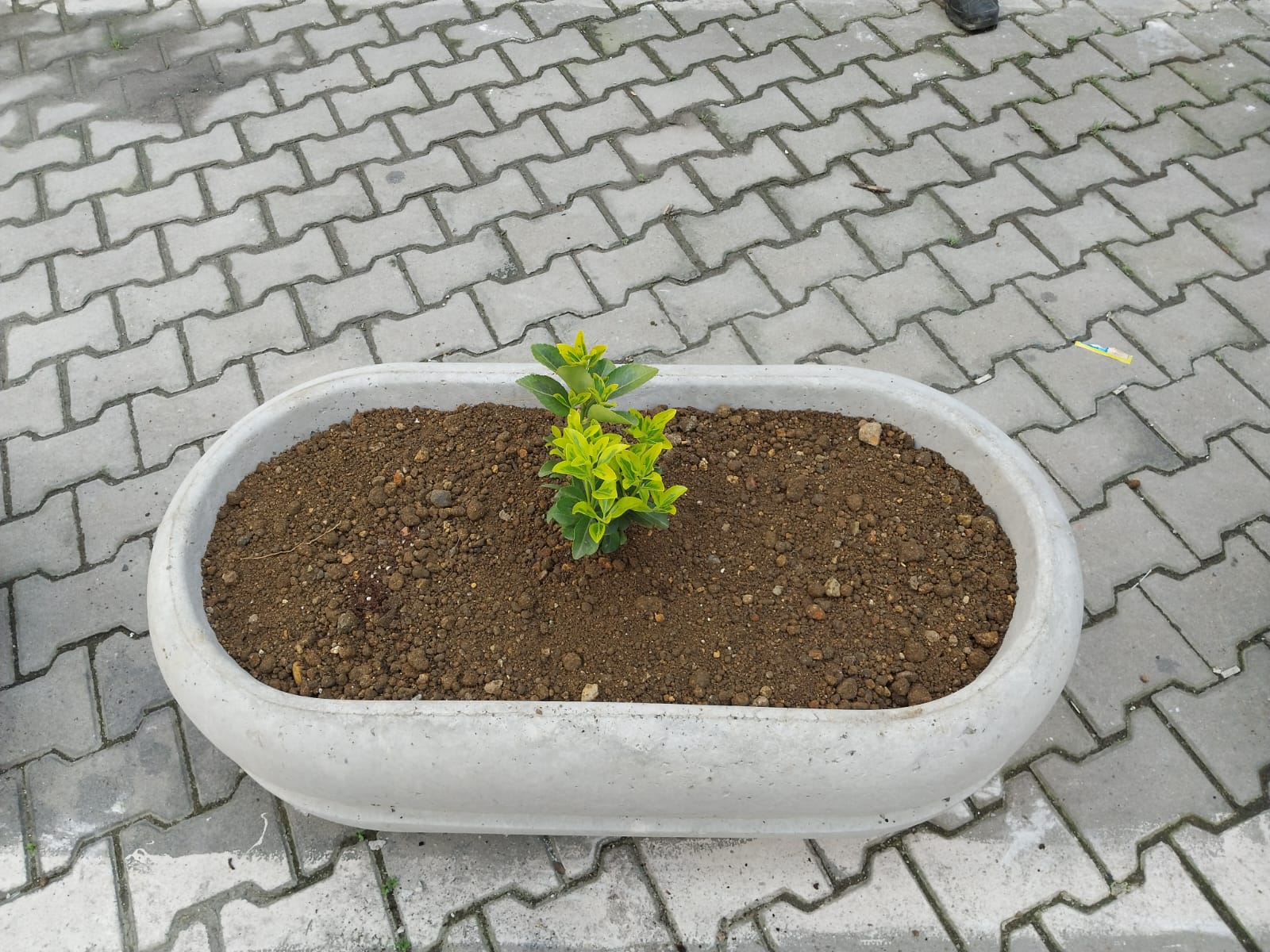 Beton Elemanları