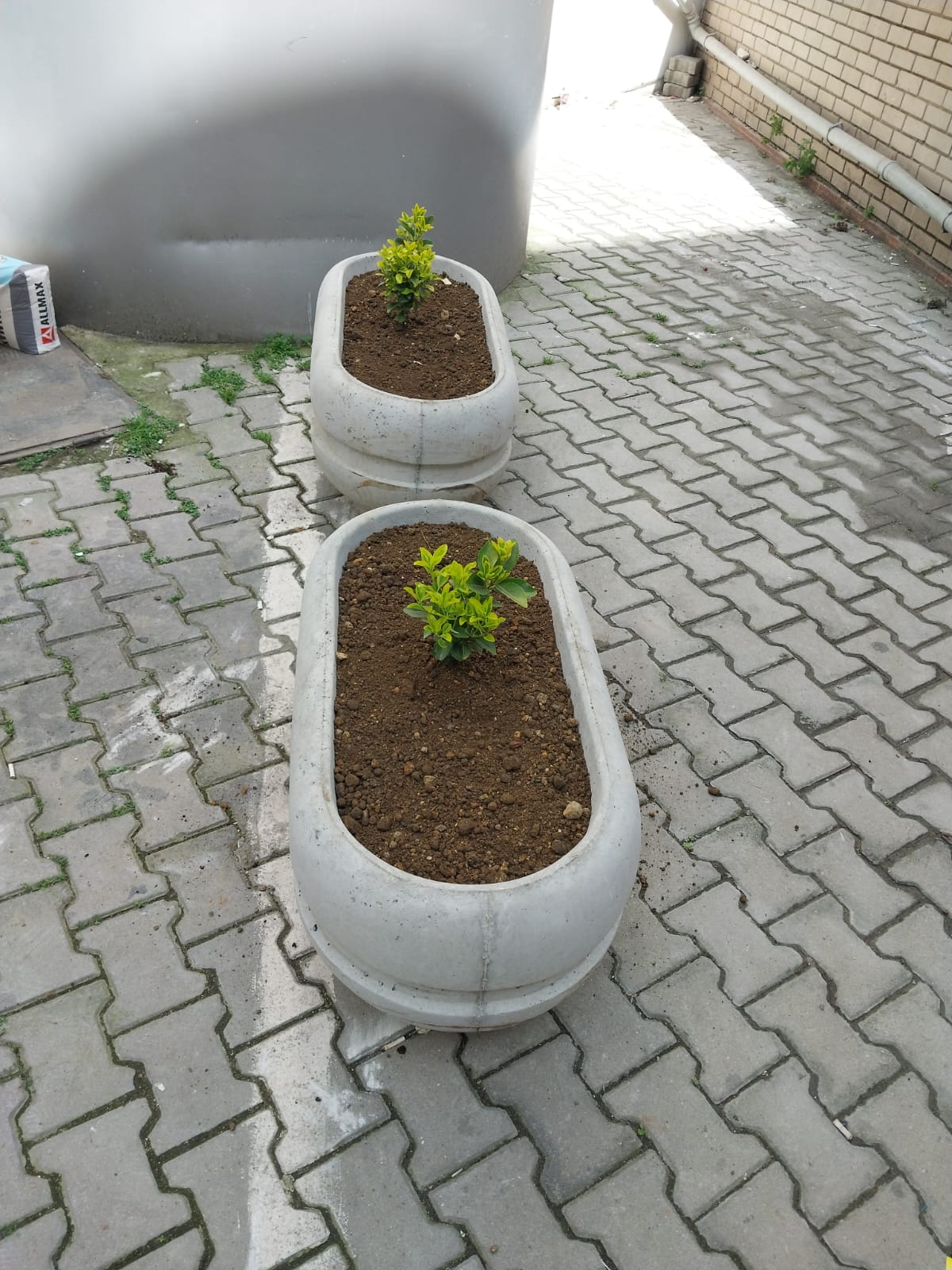 Oval Beton Saksı
